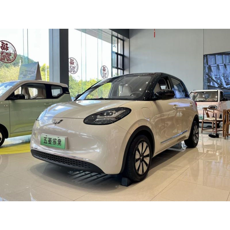 Warum sollten Sie den Wuling Bingo wählen?