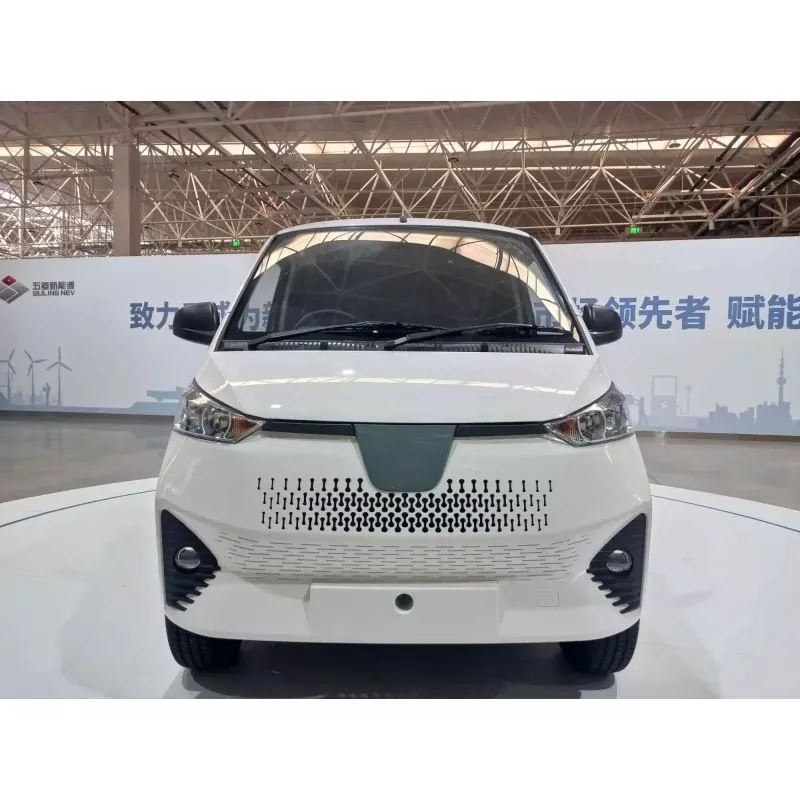 Was ist ein elektrischer Minivan?