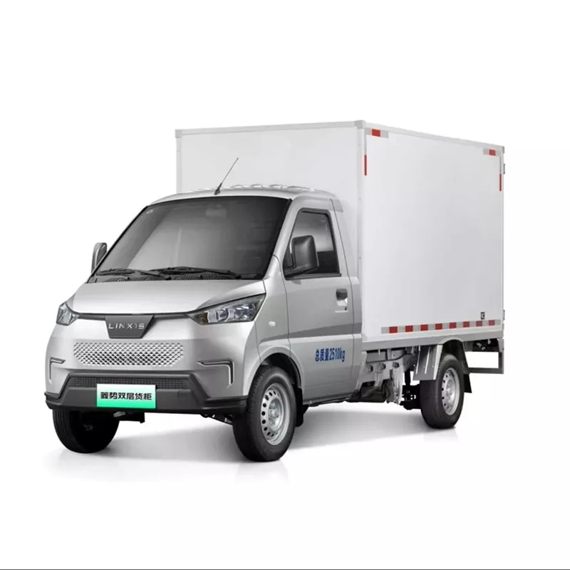 Zweisitzer-NEV-Truck